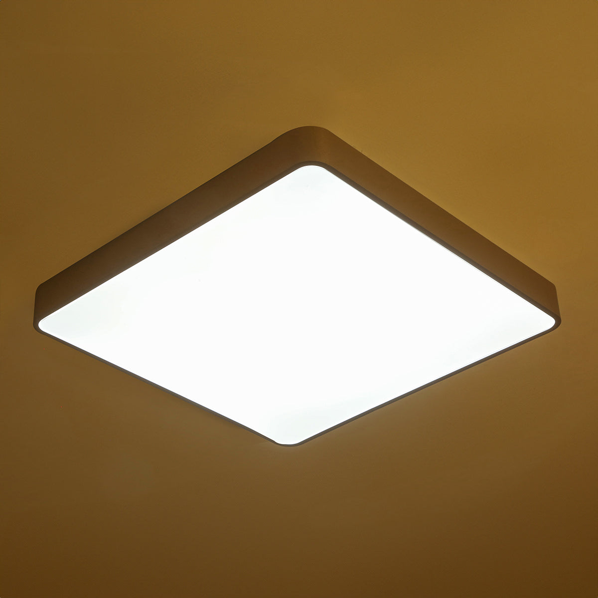 Buy Harmony Pro Square 600mm (3 Colour) LED Chandelier-Ceiling Light Online