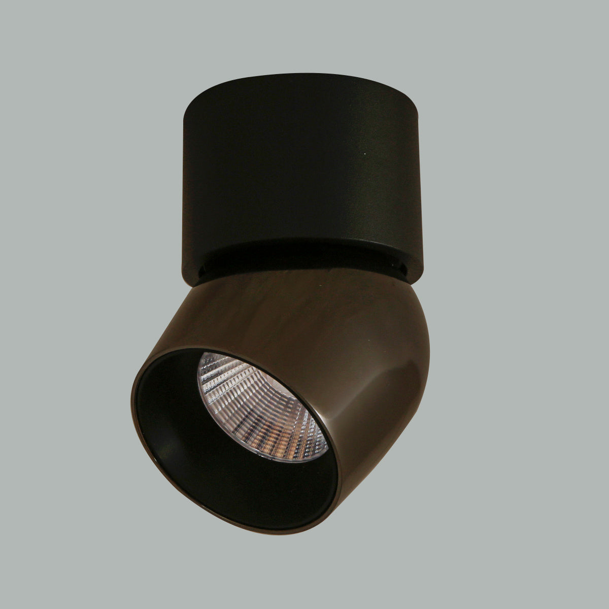 Buy Isha Tiltable Black LED Spot Light Interior Lights