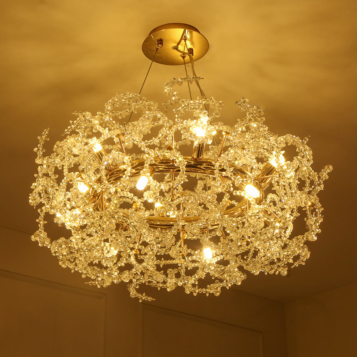 Buy Paradise LED Chandelier Interior Lights