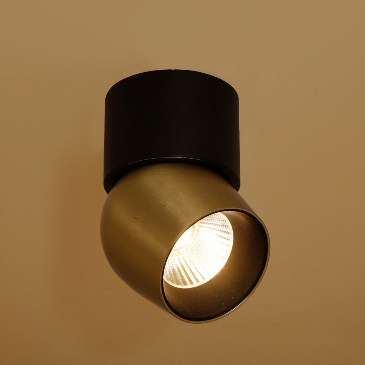 Isha Tiltable Brass LED Spot Light Online