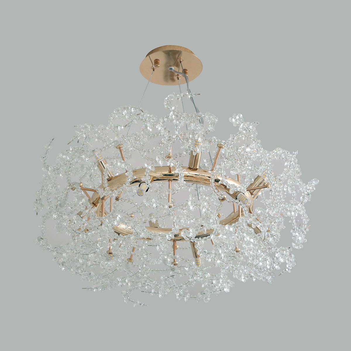 Buy Paradise LED Chandelier Interior Lights