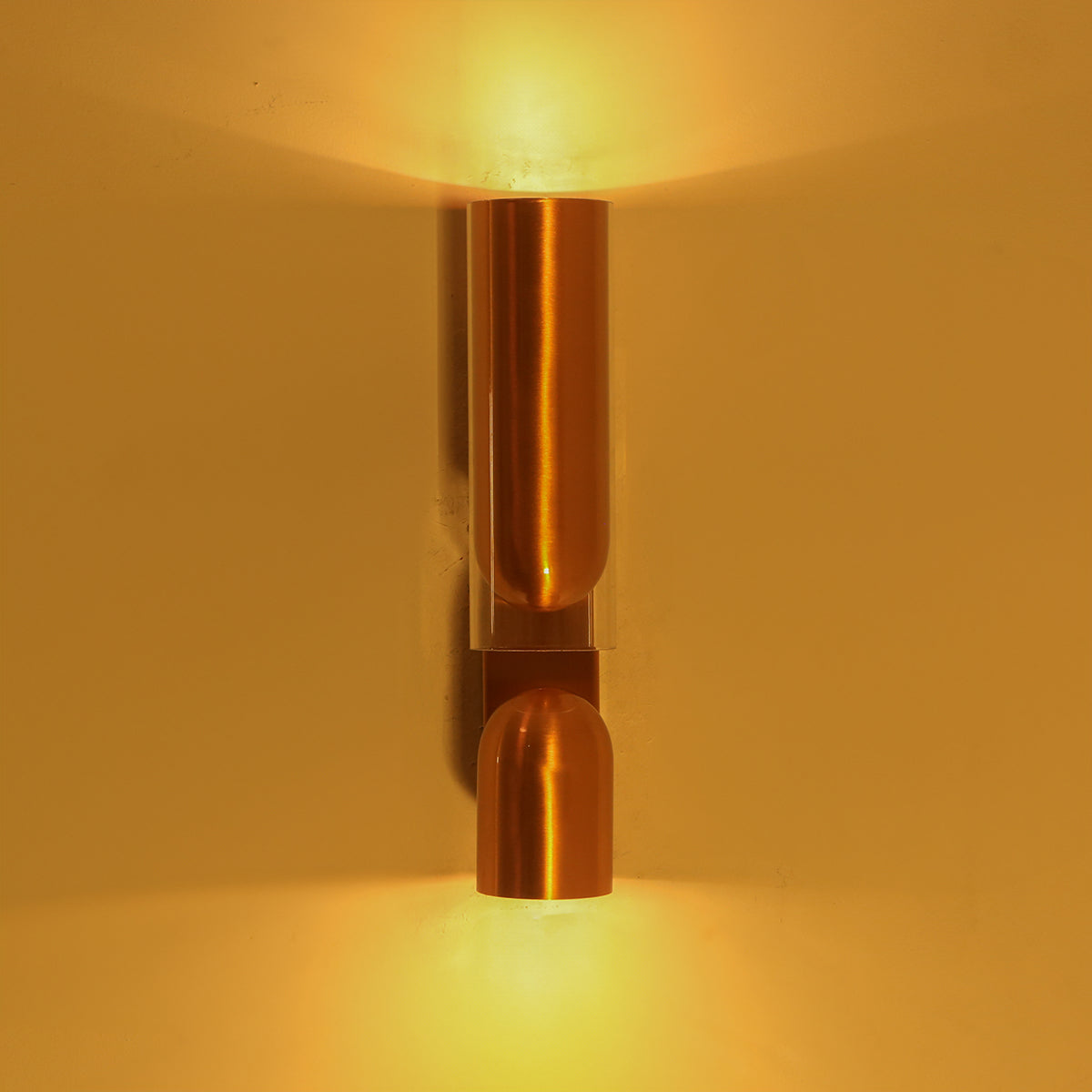 Shop Modern Outlook Rose Gold LED Wall Light Online