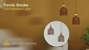 Trendy Smoke LED Pendant Light Video