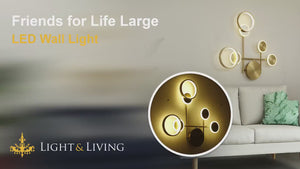 Friends for Life Large LED Wall Light Video