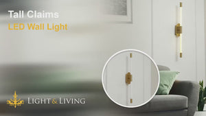Tall Claims LED Wall Light Video
