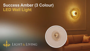 Success Amber (3 Colour) LED Wall Light Video