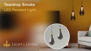 Teardrop Smoke LED Pendant Light Video