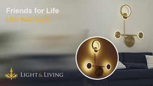 Friends for Life LED Wall Light Video