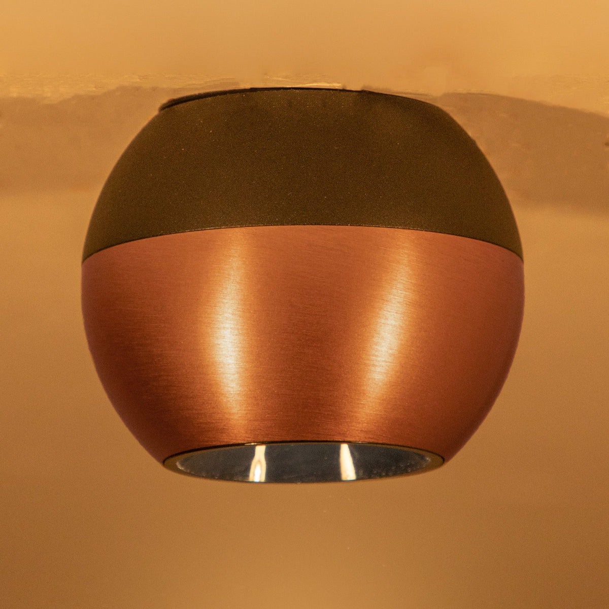 Buy NXT Black Copper LED Ceiling Light online